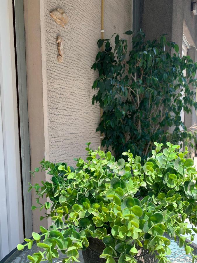 Renovated Cozy Apartment Near To Acropolis 아테네 외부 사진